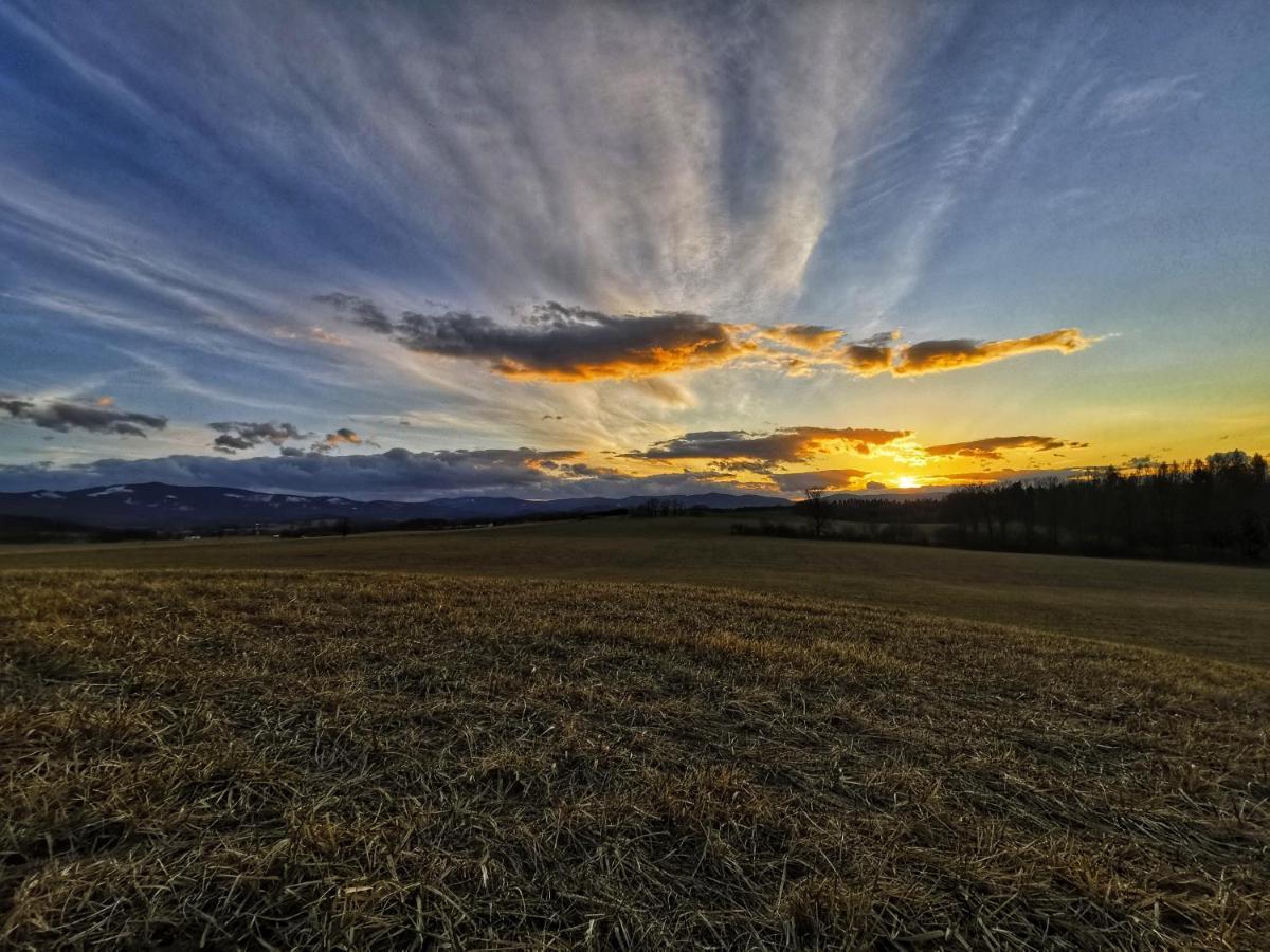 Appartamento U Černého orla Vidnava Esterno foto